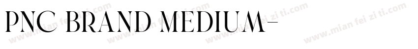PNC Brand Medium字体转换